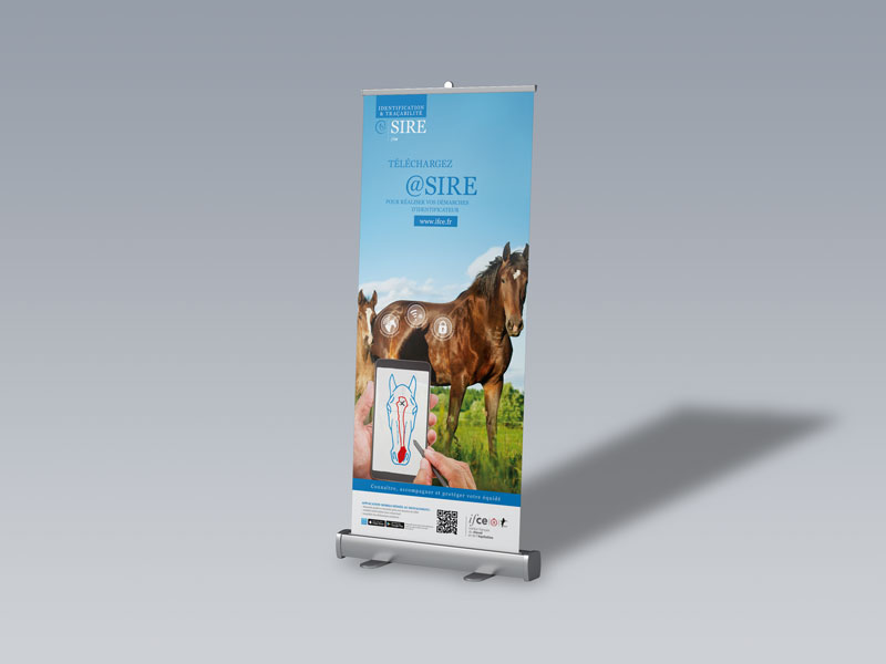 mockup